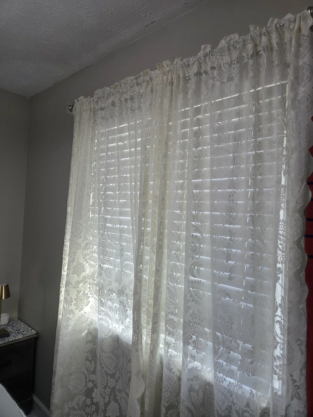Ivory Sheer Lace Curtains - Light Filtering Floral Panels